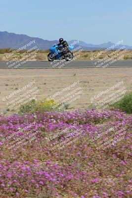 media/Mar-12-2023-SoCal Trackdays (Sun) [[d4c8249724]]/Turn 15 Inside Bloom (130pm)/